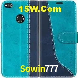 Login Seguro Sowin777